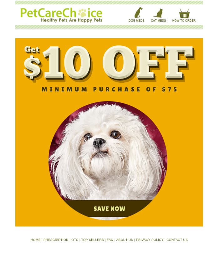 Pet Care Choice Design Email